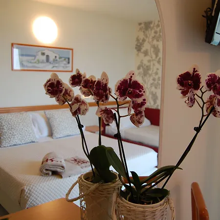 Rivazzurra Hotel Rimini