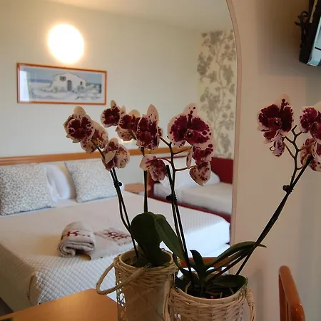 Rivazzurra Hotel Rimini